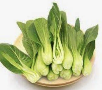 Fresh Bok Choy (6)