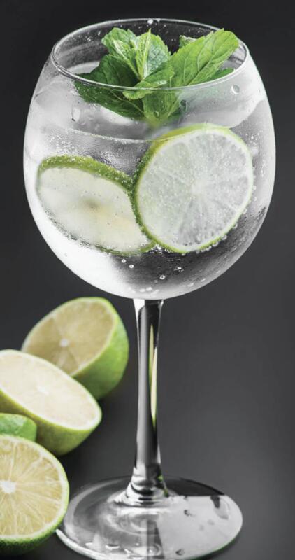 Gin and Tonic